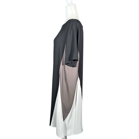 EILEEN FISHER Silk Georgette Crepe Color Block Shift Dress - Picture 9 of 13